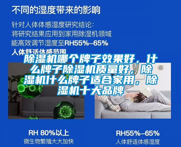 除濕機(jī)哪個(gè)牌子效果好，什么牌子除濕機(jī)質(zhì)量好，除濕機(jī)什么牌子適合家用，除濕機(jī)十大品牌