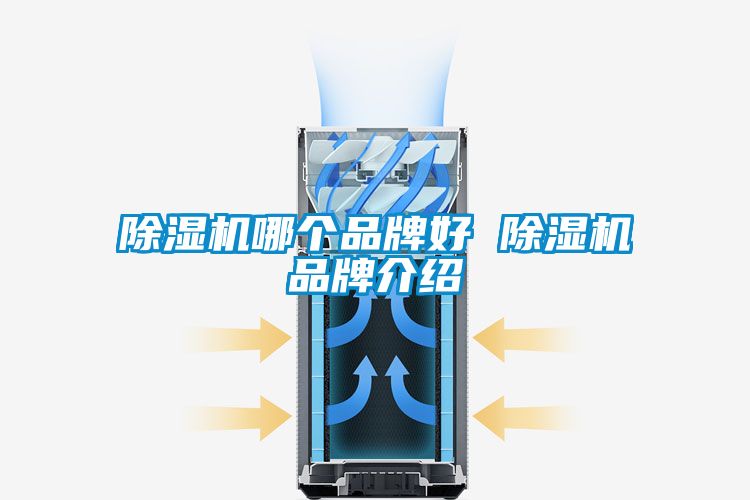 除濕機(jī)哪個(gè)品牌好 除濕機(jī)品牌介紹