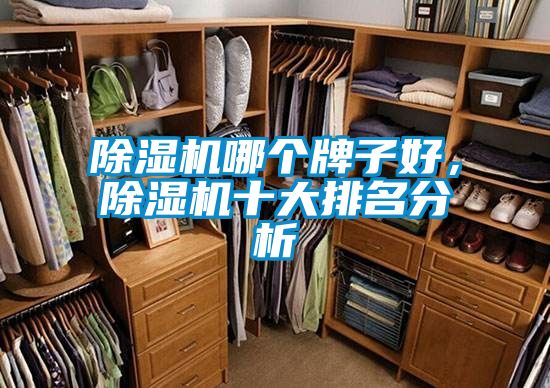 除濕機(jī)哪個(gè)牌子好，除濕機(jī)十大排名分析