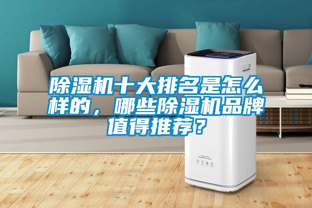 除濕機(jī)十大排名是怎么樣的，哪些除濕機(jī)品牌值得推薦？