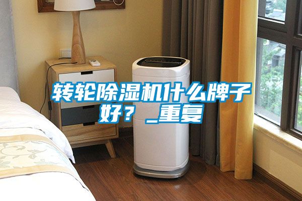 轉(zhuǎn)輪除濕機什么牌子好？_重復