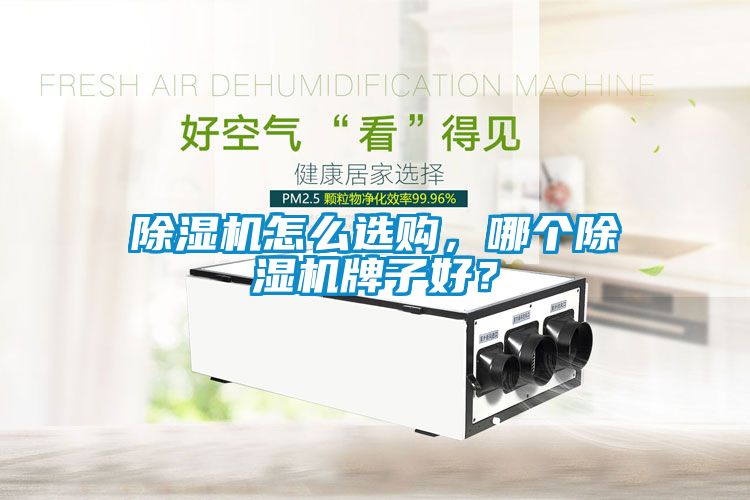 除濕機怎么選購，哪個除濕機牌子好？