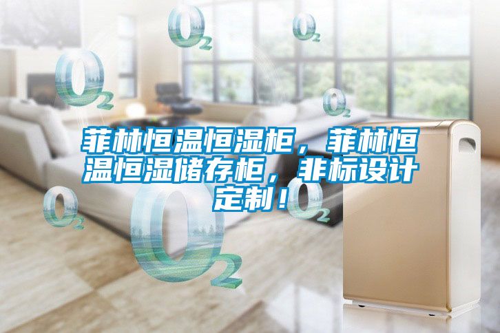 菲林恒溫恒濕柜，菲林恒溫恒濕儲存柜，非標(biāo)設(shè)計定制！
