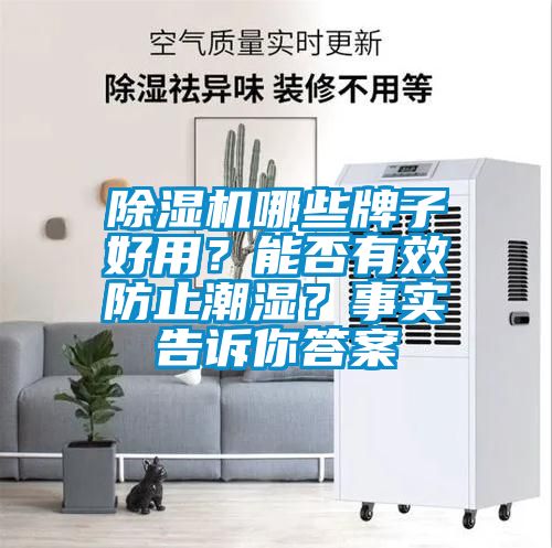 除濕機(jī)哪些牌子好用？能否有效防止潮濕？事實(shí)告訴你答案