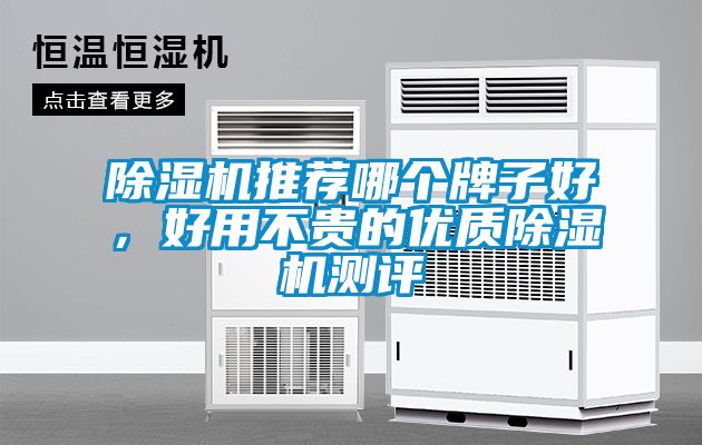除濕機(jī)推薦哪個牌子好，好用不貴的優(yōu)質(zhì)除濕機(jī)測評