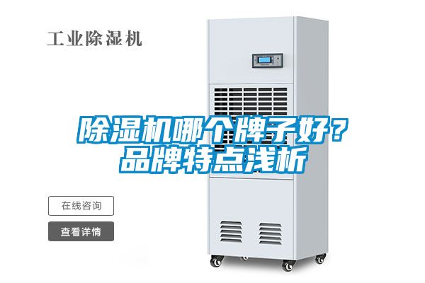 除濕機哪個牌子好？品牌特點淺析