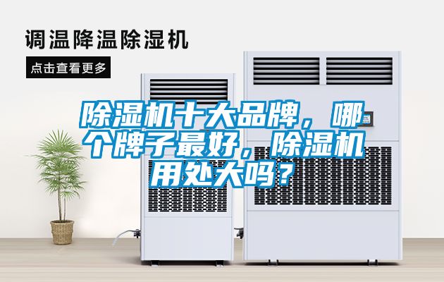 除濕機(jī)十大品牌，哪個(gè)牌子最好，除濕機(jī)用處大嗎？