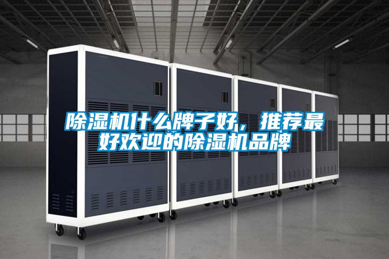 除濕機什么牌子好，推薦最好歡迎的除濕機品牌