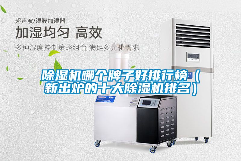 除濕機(jī)哪個牌子好排行榜（新出爐的十大除濕機(jī)排名）