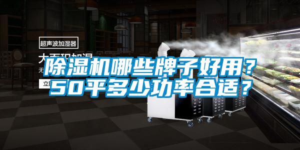 除濕機(jī)哪些牌子好用？50平多少功率合適？