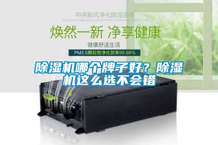 除濕機(jī)哪個(gè)牌子好？除濕機(jī)這么選不會(huì)錯(cuò)