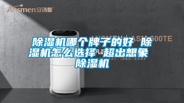 除濕機(jī)哪個牌子的好 除濕機(jī)怎么選擇 超出想象 除濕機(jī)