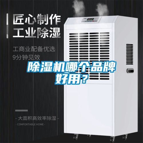 除濕機(jī)哪個(gè)品牌好用？