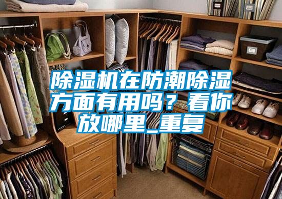 除濕機(jī)在防潮除濕方面有用嗎？看你放哪里_重復(fù)