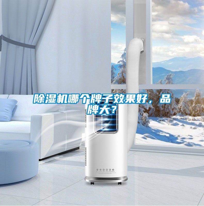 除濕機(jī)哪個(gè)牌子效果好，品牌大？