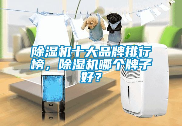 除濕機(jī)十大品牌排行榜，除濕機(jī)哪個(gè)牌子好？