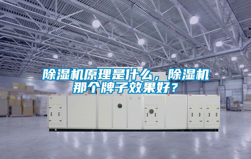 除濕機(jī)原理是什么，除濕機(jī)那個(gè)牌子效果好？