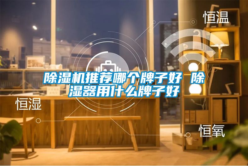 除濕機(jī)推薦哪個牌子好 除濕器用什么牌子好