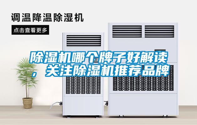 除濕機哪個牌子好解讀，關(guān)注除濕機推薦品牌
