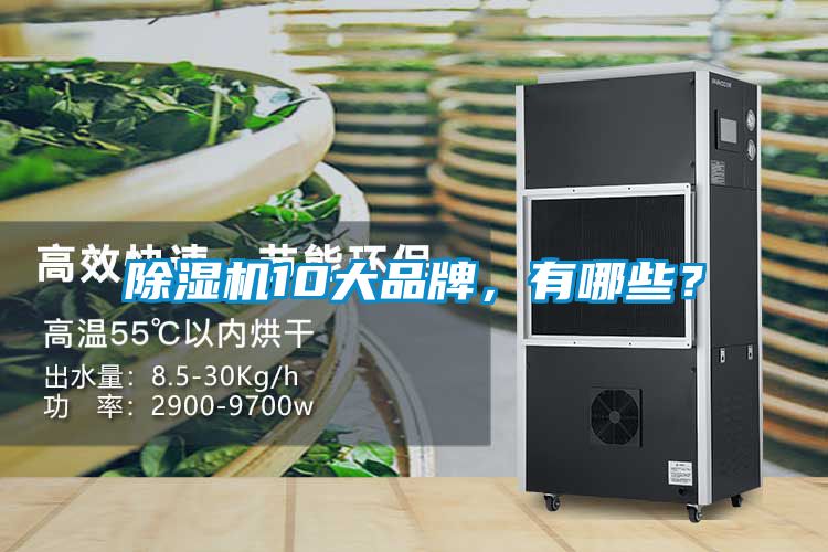 除濕機(jī)10大品牌，有哪些？