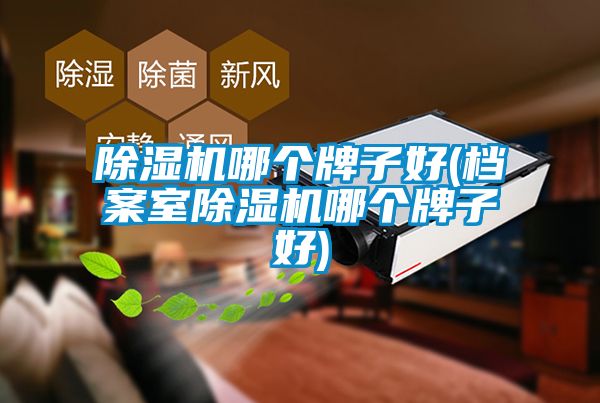 除濕機(jī)哪個牌子好(檔案室除濕機(jī)哪個牌子好)