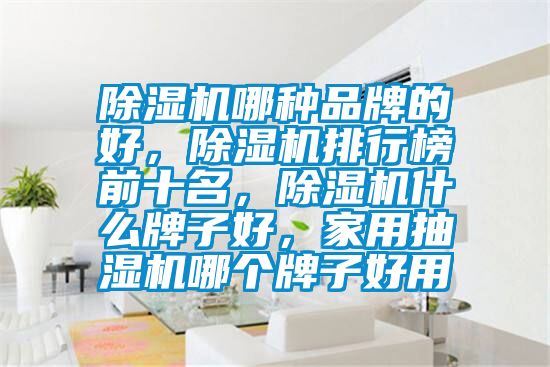 除濕機(jī)哪種品牌的好，除濕機(jī)排行榜前十名，除濕機(jī)什么牌子好，家用抽濕機(jī)哪個(gè)牌子好用