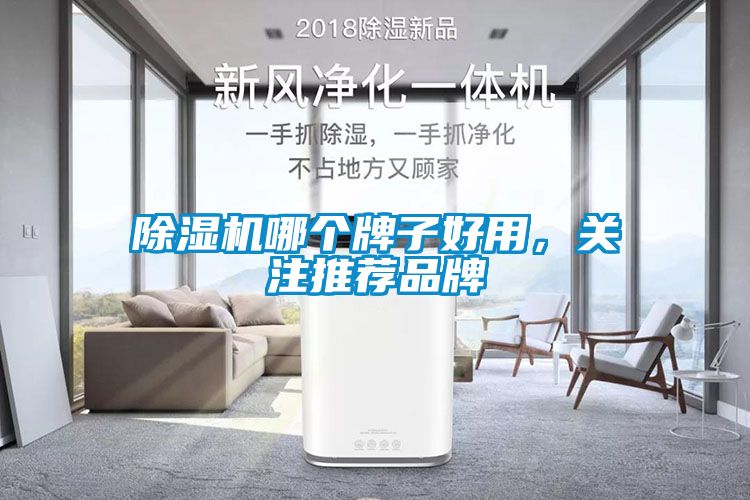 除濕機(jī)哪個(gè)牌子好用，關(guān)注推薦品牌