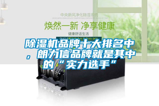 除濕機(jī)品牌十大排名中，朗力信品牌就是其中的“實(shí)力選手”