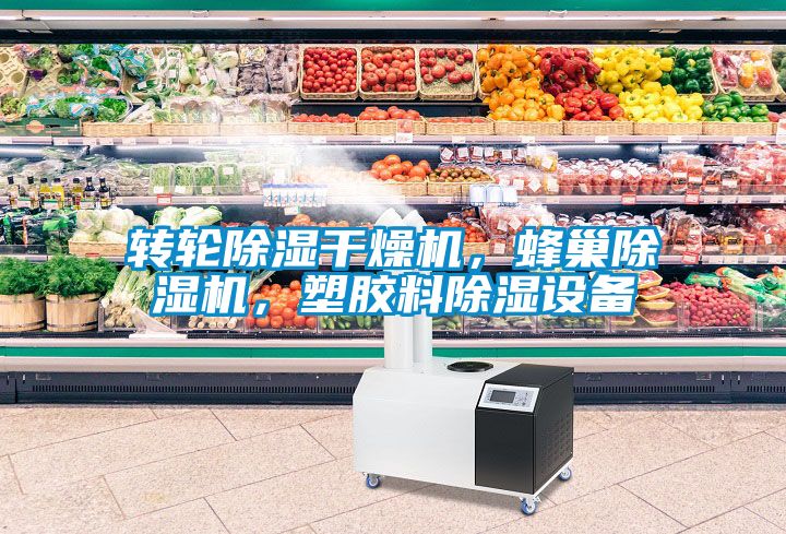 轉(zhuǎn)輪除濕干燥機(jī)，蜂巢除濕機(jī)，塑膠料除濕設(shè)備
