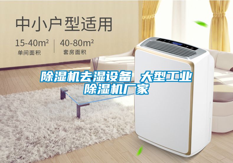 除濕機去濕設(shè)備 大型工業(yè)除濕機廠家