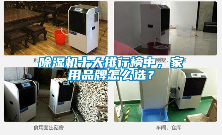 除濕機(jī)十大排行榜中，家用品牌怎么選？
