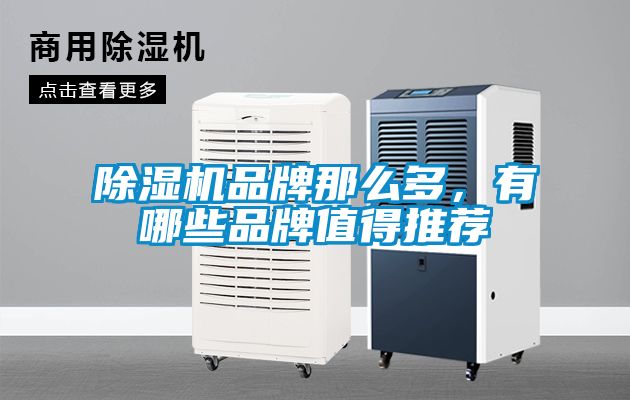 除濕機品牌那么多，有哪些品牌值得推薦