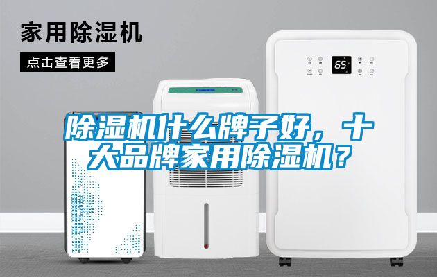 除濕機什么牌子好，十大品牌家用除濕機？