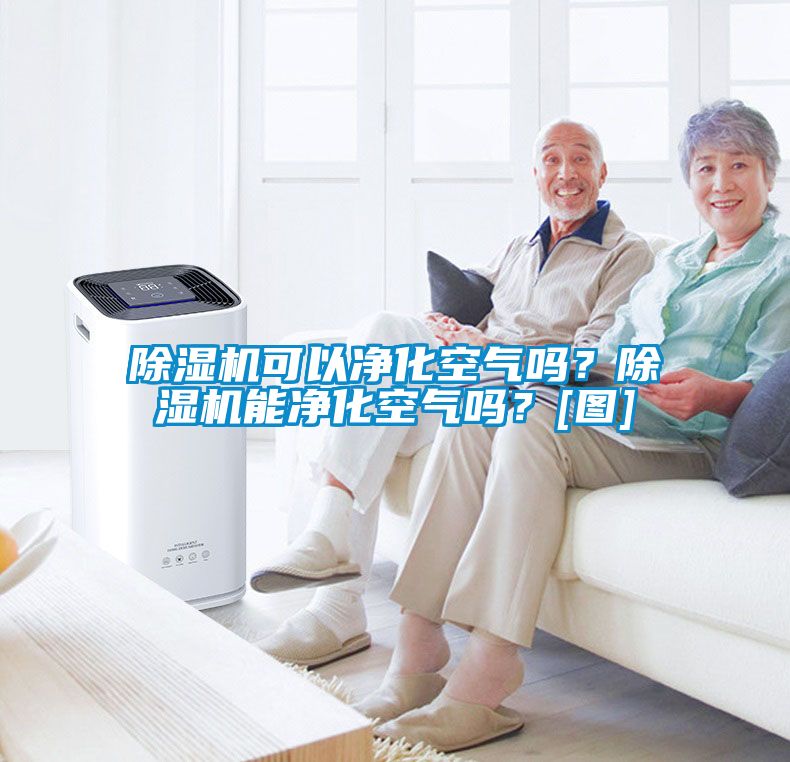 除濕機(jī)可以凈化空氣嗎？除濕機(jī)能凈化空氣嗎？[圖]