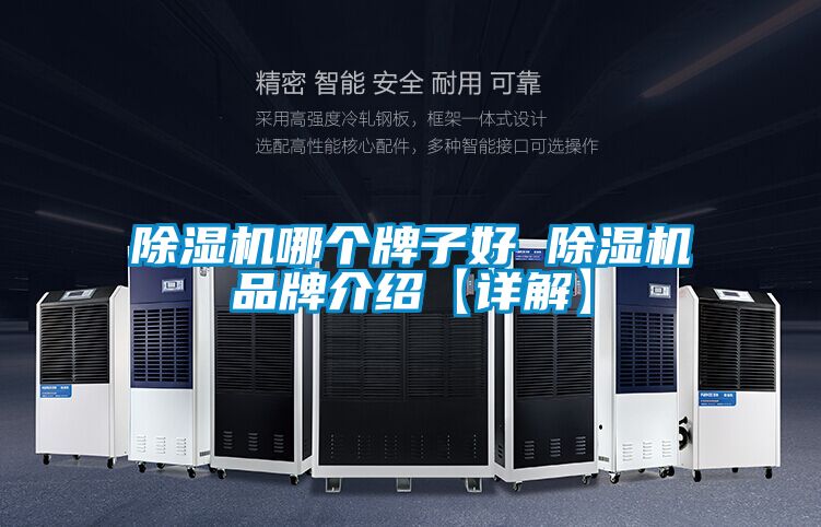 除濕機(jī)哪個(gè)牌子好 除濕機(jī)品牌介紹【詳解】