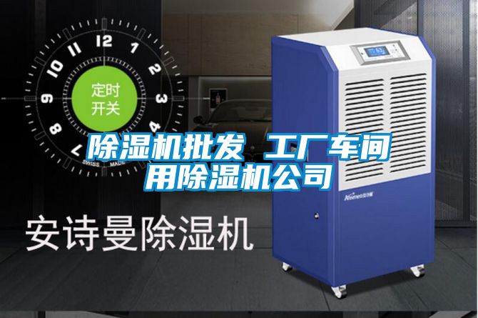 除濕機(jī)批發(fā) 工廠(chǎng)車(chē)間用除濕機(jī)公司