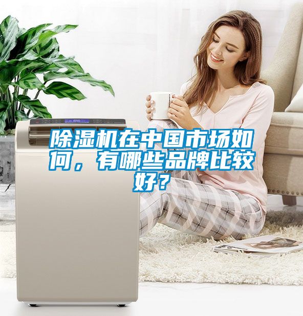 除濕機(jī)在中國(guó)市場(chǎng)如何，有哪些品牌比較好？