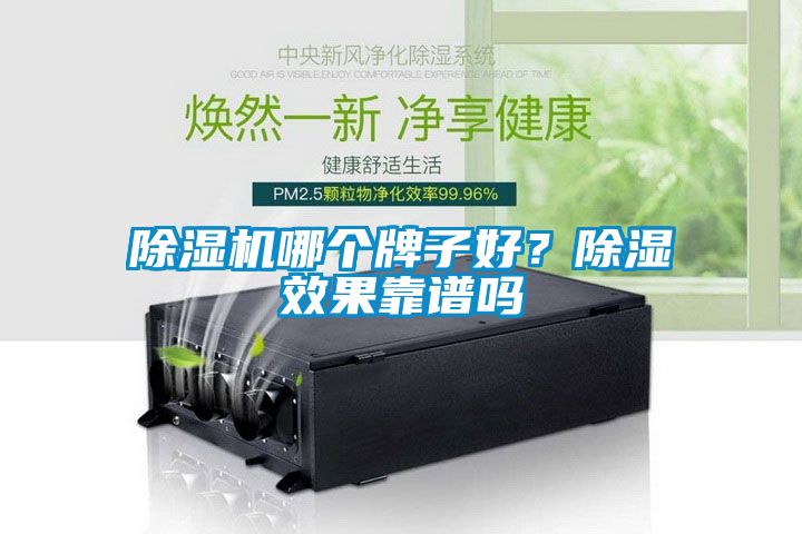 除濕機(jī)哪個(gè)牌子好？除濕效果靠譜嗎