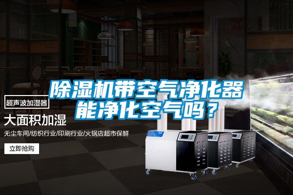 除濕機(jī)帶空氣凈化器能凈化空氣嗎？