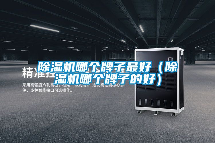 除濕機(jī)哪個牌子最好（除濕機(jī)哪個牌子的好）