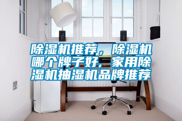 除濕機(jī)推薦，除濕機(jī)哪個(gè)牌子好, 家用除濕機(jī)抽濕機(jī)品牌推薦