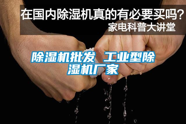 除濕機(jī)批發(fā) 工業(yè)型除濕機(jī)廠(chǎng)家