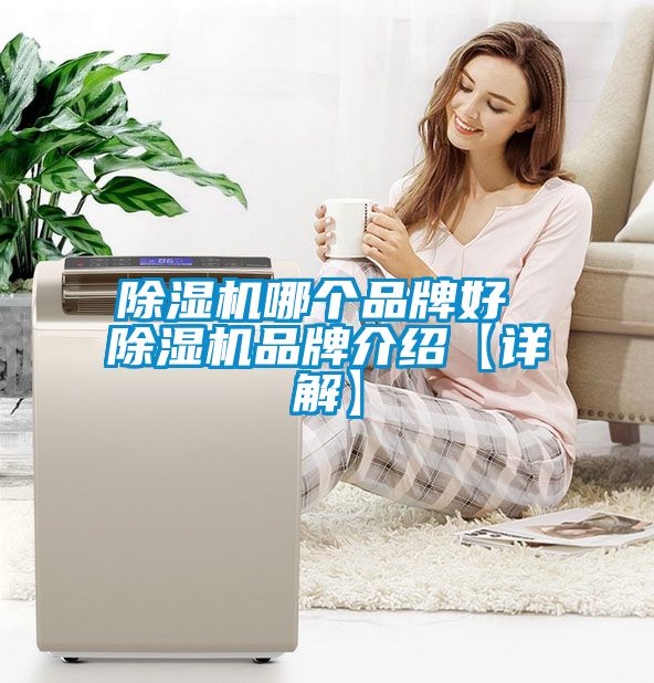 除濕機(jī)哪個(gè)品牌好 除濕機(jī)品牌介紹【詳解】