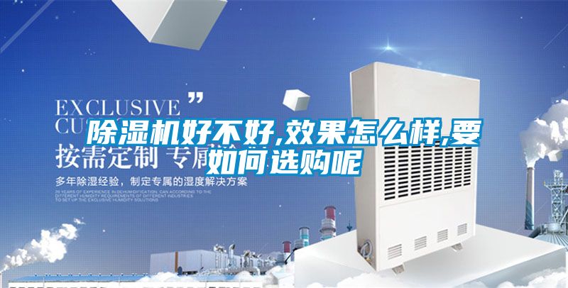 除濕機(jī)好不好,效果怎么樣,要如何選購呢