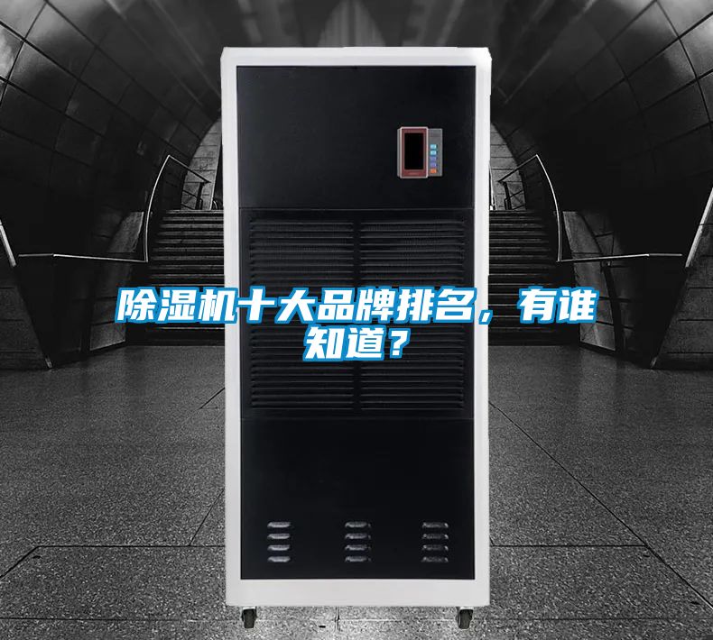 除濕機(jī)十大品牌排名，有誰知道？
