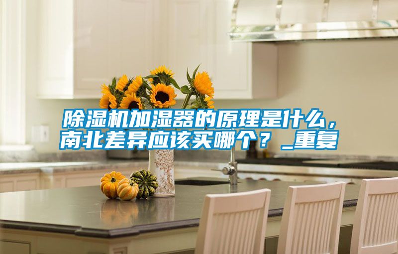 除濕機加濕器的原理是什么，南北差異應該買哪個？_重復