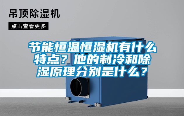 節(jié)能恒溫恒濕機(jī)有什么特點(diǎn)？他的制冷和除濕原理分別是什么？