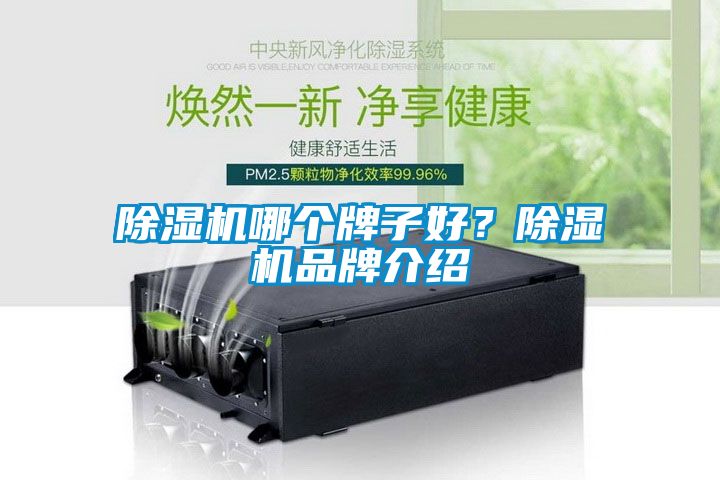 除濕機(jī)哪個(gè)牌子好？除濕機(jī)品牌介紹