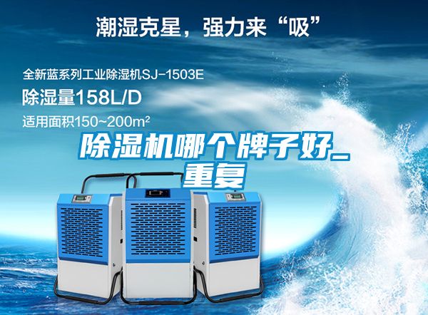 除濕機(jī)哪個牌子好_重復(fù)