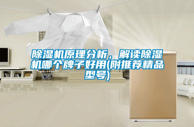 除濕機(jī)原理分析，解讀除濕機(jī)哪個牌子好用(附推薦精品型號)